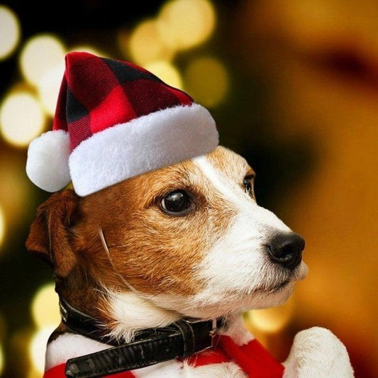 Dog/Cat/Pet Christmas Hat